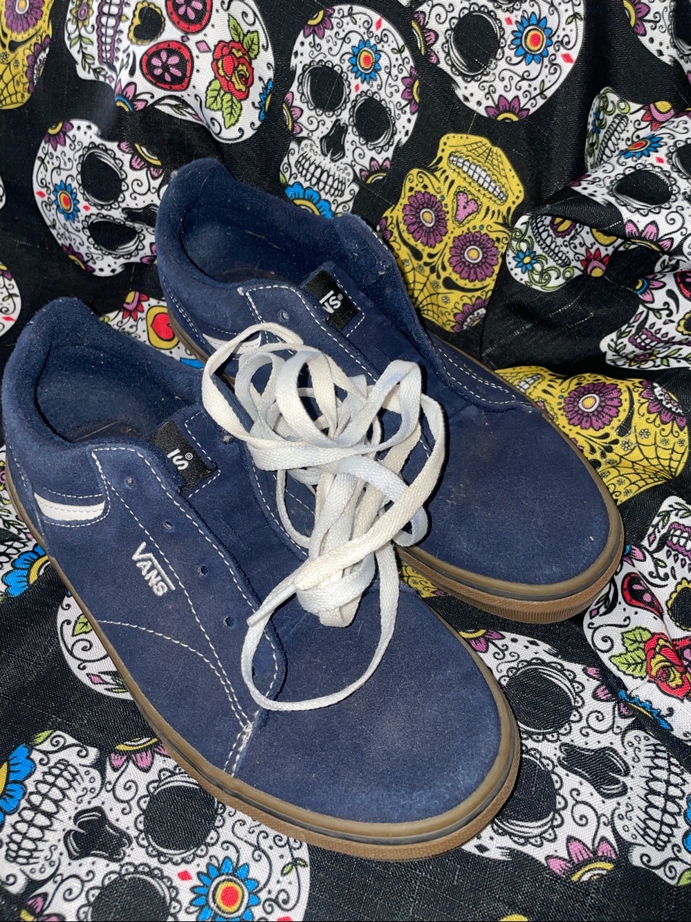 Vans Navy Blue Suede Low-Top Sneakers with Gum Sole